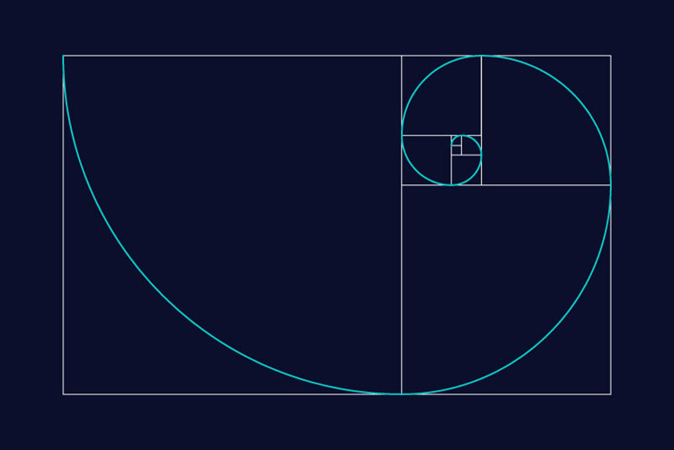 An image of the Golden Section or Ratio - a spiral which spans across 9 increasingly smaller sections.